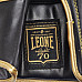 Рукавички боксерські Leone Italy 12 унцій, різнокольорові