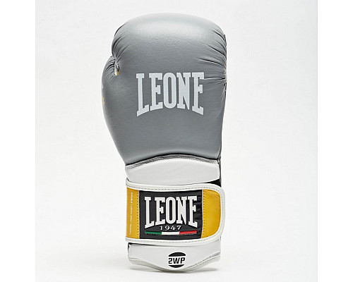 Рукавички боксерські Leone Tecnico 10 унцій, різнокольорові