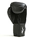 Боксерські рукавиці Everlast SPARK TRAINING GLOVES 16 унцій, чорно-білі