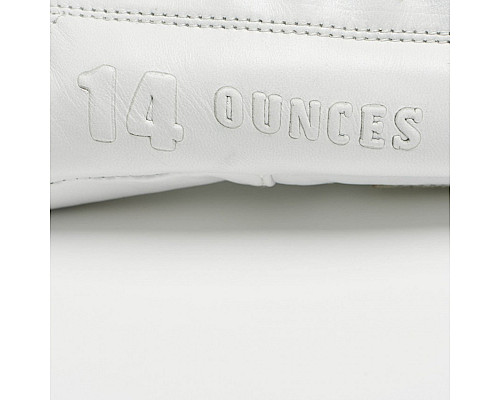 Рукавички боксерські Leone Mono 10 унцій