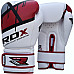Рукавички боксерські RDX Rex Leather 12 унцій, різнокольорові