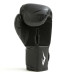 Боксерські рукавиці Everlast SPARK TRAINING GLOVES 10 унцій, чорно-білі