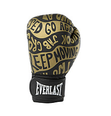 Боксерські рукавиці Everlast SPARK TRAINING GLOVE 12 унцій, чорно-золотисті