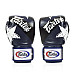 Рукавички боксерські з бинтами Fairtex BGV1 Nation Print 14 унцій, сині