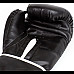 Боксерські рукавиці Everlast CORE 2 TRAINING GLOVE унцій L/XL, чорно-білі