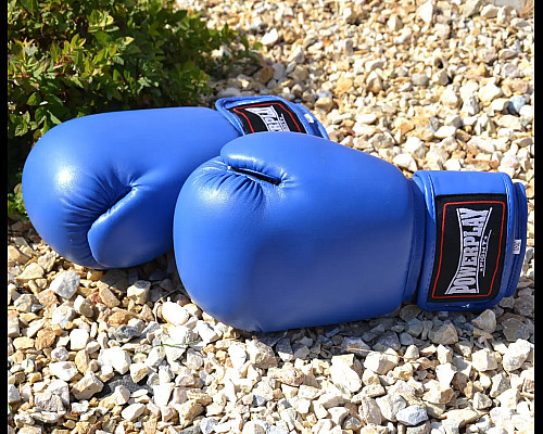 Рукавички боксерські PowerPlay 3004 Classic розмір 14 унцій, сині