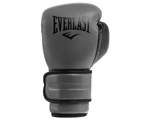 Боксерські рукавиці Everlast POWERLOCK 2R TRAINING GLOVE 16 унцій, сірі