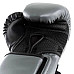 Боксерські рукавиці Everlast POWERLOCK 2R TRAINING GLOVE 14 унцій, сірі