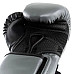 Боксерські рукавиці Everlast POWERLOCK 2R TRAINING GLOVE 10 унцій, сірі