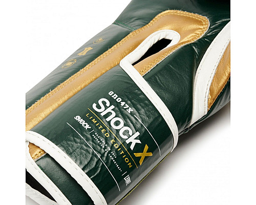 Рукавички боксерські Leone Shock X 12 унцій, різнокольорові