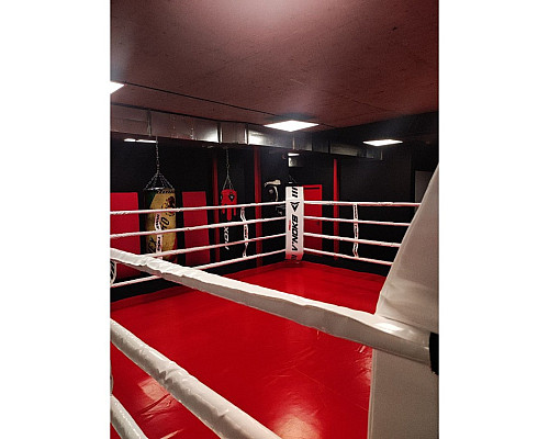 Канати V`Noks для боксерського рингу 6 м