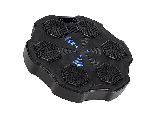 TB02 ІНТЕЛЕКТУАЛЬНА МУЗИЧНА БОКС-МАШИНА BLUETOOTH З РУКАВИЧКАМИ HMS TB02 ІНТЕЛЕКТУАЛЬНА МУЗИЧНА БОКС-МАШИНА BLUETOOTH З РУКАВИЧКАМИ HMS