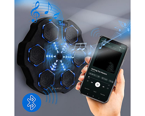 TB02 ІНТЕЛЕКТУАЛЬНА МУЗИЧНА БОКС-МАШИНА BLUETOOTH З РУКАВИЧКАМИ HMS TB02 ІНТЕЛЕКТУАЛЬНА МУЗИЧНА БОКС-МАШИНА BLUETOOTH З РУКАВИЧКАМИ HMS
