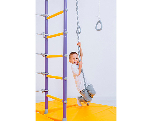 Дитячий ігровий майданчик Romana Pegas, фіолетовий