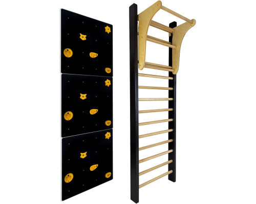 Шведська стінка UNDERFIT LEON 250 x 80 см з турніком та скеледромом, чорна
