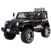 Позашляховик Raptor Drifter Black + Пульт + Привід 4x4 + Коробка для зберігання + Безкоштовний старт + MP3 LED