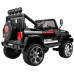 Позашляховик Raptor Drifter Black + Пульт + Привід 4x4 + Коробка для зберігання + Безкоштовний старт + MP3 LED