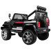 Позашляховик Raptor Drifter Black + Пульт + Привід 4x4 + Коробка для зберігання + Безкоштовний старт + MP3 LED