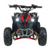 Квадроцикл RENEGADE HIPERFECT 110CC Red