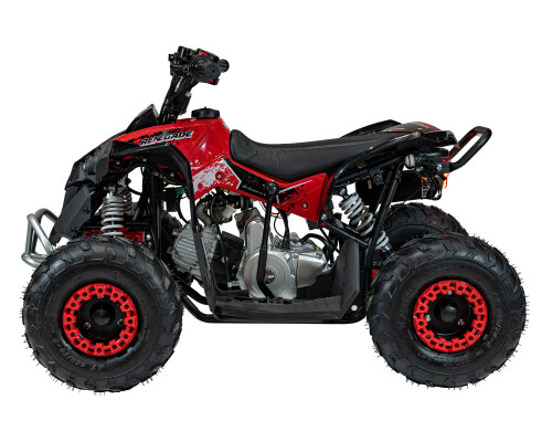 Квадроцикл RENEGADE HIPERFECT 110CC Red