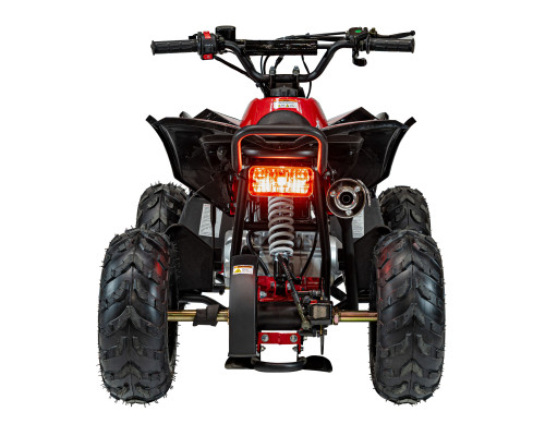 Квадроцикл RENEGADE HIPERFECT 110CC Red