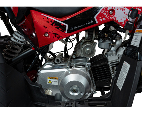 Квадроцикл RENEGADE HIPERFECT 110CC Red