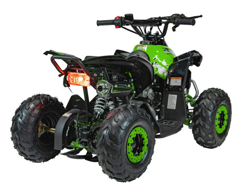 Квадроцикл RENEGADE HIPERFECT 110CC Green