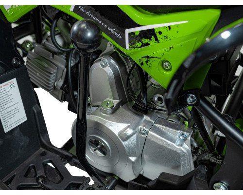 Квадроцикл RENEGADE HIPERFECT 110CC Green