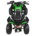 Квадроцикл RENEGADE HIPERFECT 110CC Green