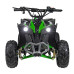 Квадроцикл RENEGADE HIPERFECT 110CC Green