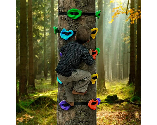 Набір зачепів для дерева  Ninja Tree WCG - різнокольоровий