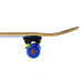 Скейтборд NILS EXTREME CR3108SA SK8BOY SKATEBOARD