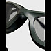Окуляри для плавання Arena 365 GOGGLES, темно-зелені