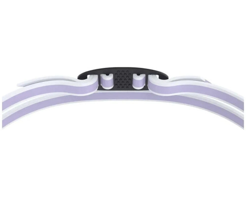 Окуляри для плавання жіночі Speedo WOMENS VANQUISHER 3.0 MIRRORED, фіолетові