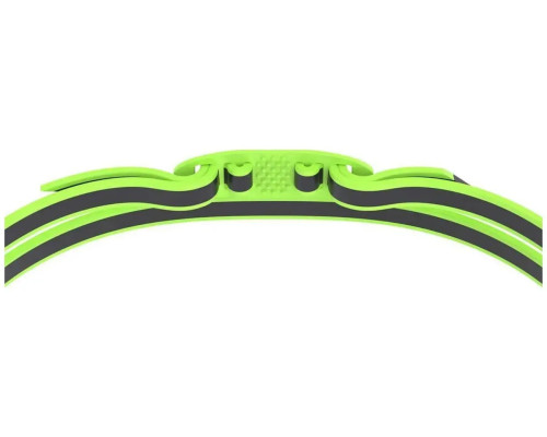 Окуляри для плавання Speedo VANQUISHER 3.0 MIRRORED, зелені