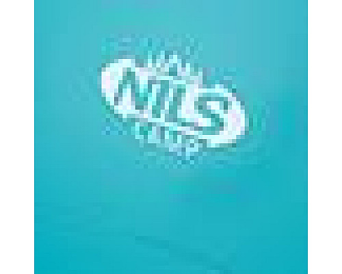 Намет для пляжу NC8030 NILS 260x120x120 см