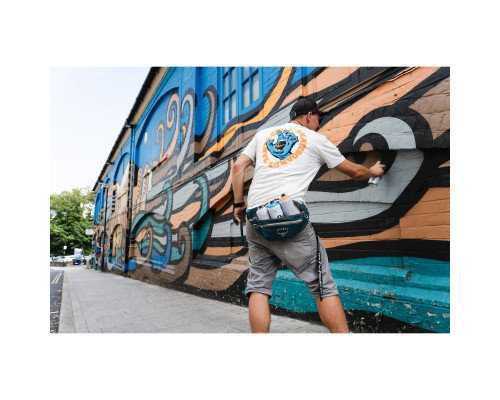 Поясна сумка Osprey Daylite Waist