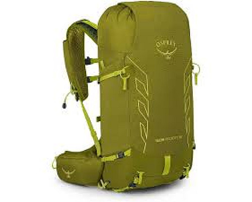 Рюкзак Osprey Talon Velocity 30 matcha green/lemongrass - L/XL - зелений