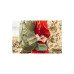 Рюкзак туристичний Gregory 60 л STOUT FENNEL GREEN 126875/1333 TRAILFLEX