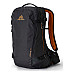 Рюкзак туристичний Gregory ALPINE VERTE 24 MD/LG - чорно-бронзовий