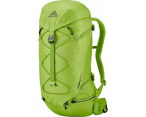 Рюкзак туристичний Gregory ALPINISTO 38 л SM\MD - зелений
