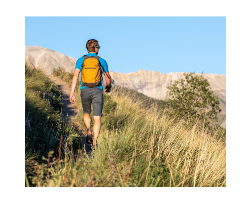Рюкзак Osprey Daylite Plus Рюкзак Osprey Daylite Plus