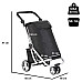 Сумка-візок ShoppingCruiser 3 Wheels Black (604349)