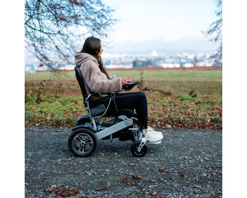 Електричний інвалідний візок inSPORTline Hawkie