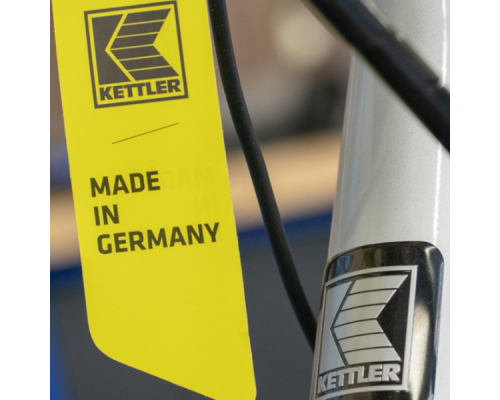 Електричний велосипед KETTLER TRAVELER E-GOLD 8 розмір S