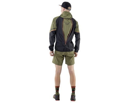 Куртка Dynafit Alpine GTX Mns