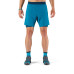 Шорти Dynafit Alpine Pro 2/1 Mns