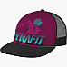 Кепка Dynafit Graphic Trucker Cap