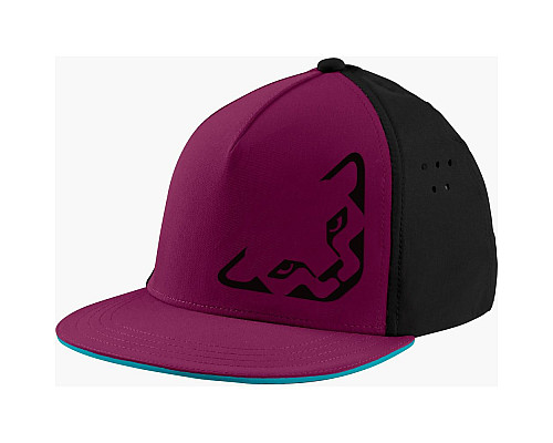 Кепка Dynafit Tech Trucker Cap