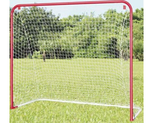 Хокейні ворота ABS Hockey Goal 54"